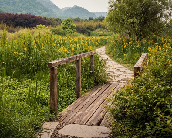 Walk & Talk in Ilmenau (Gehren) - Heilpraxis Ritter